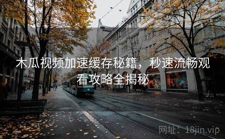木瓜视频加速缓存秘籍，秒速流畅观看攻略全揭秘