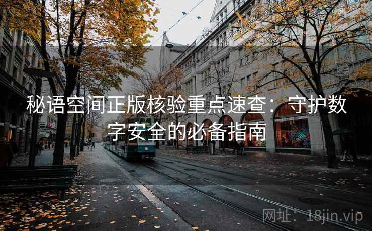 秘语空间正版核验重点速查：守护数字安全的必备指南