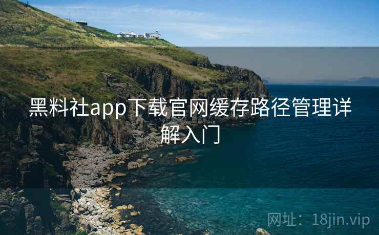 黑料社app下载官网缓存路径管理详解入门
