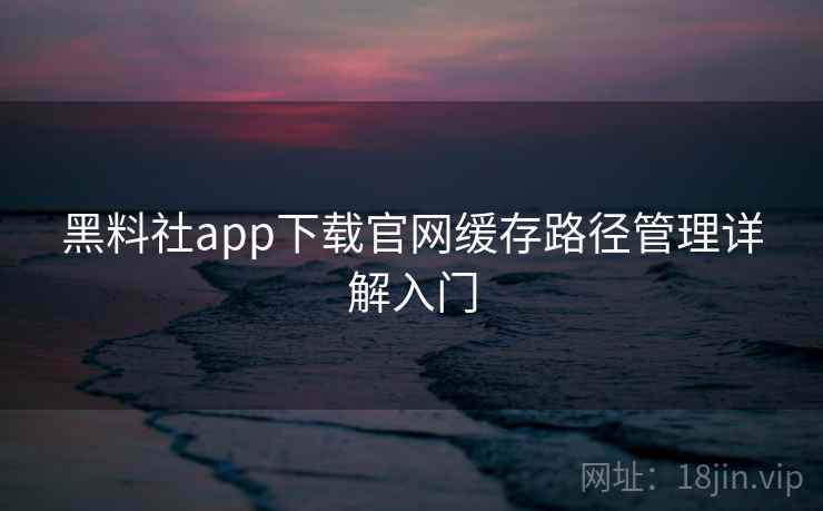 黑料社app下载官网缓存路径管理详解入门