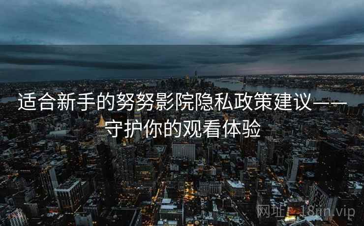 适合新手的努努影院隐私政策建议——守护你的观看体验