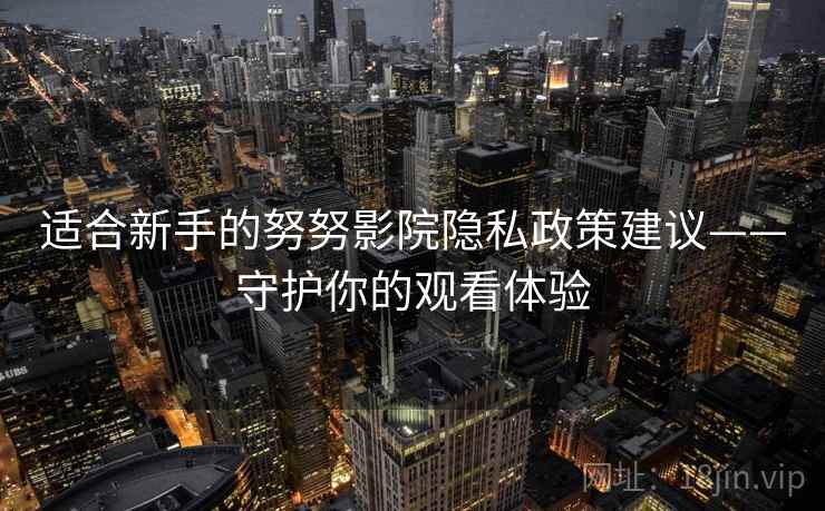 适合新手的努努影院隐私政策建议——守护你的观看体验