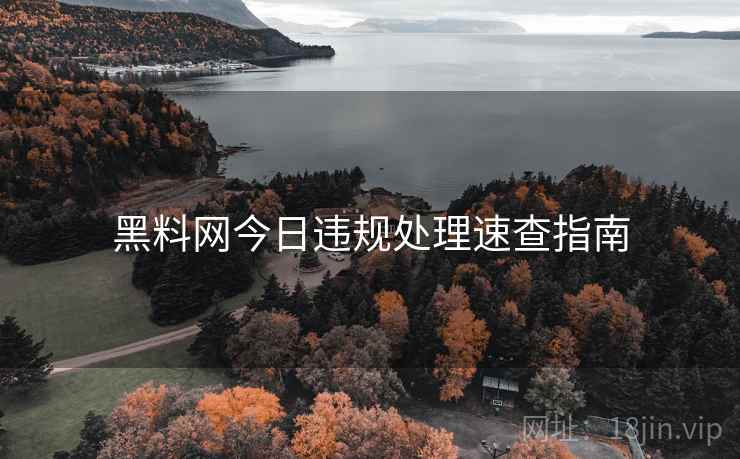 黑料网今日违规处理速查指南