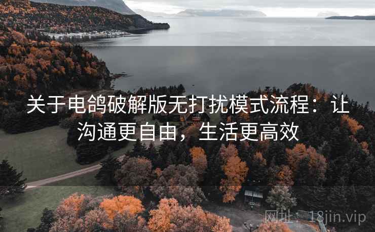 关于电鸽破解版无打扰模式流程：让沟通更自由，生活更高效