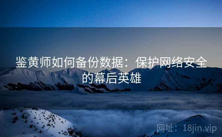 鉴黄师如何备份数据：保护网络安全的幕后英雄