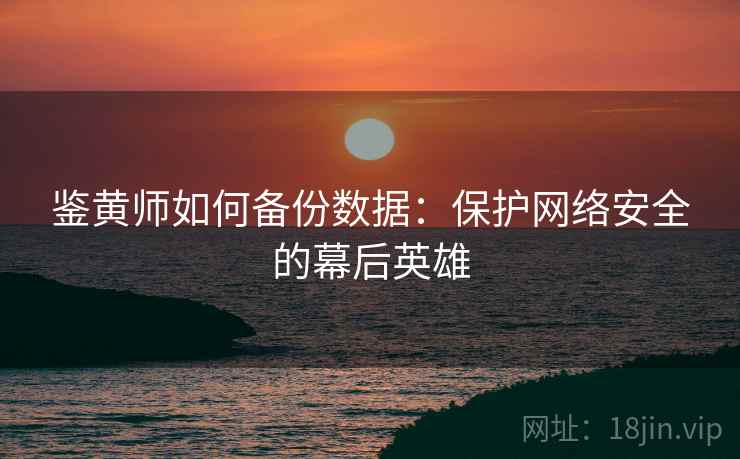 鉴黄师如何备份数据：保护网络安全的幕后英雄