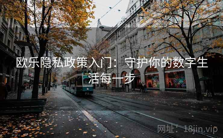 欧乐隐私政策入门：守护你的数字生活每一步
