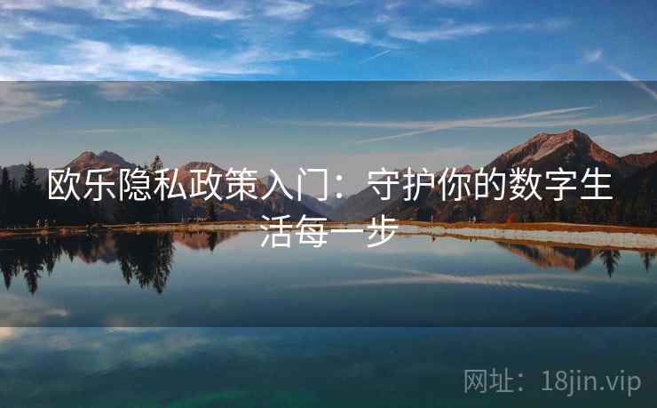 欧乐隐私政策入门：守护你的数字生活每一步