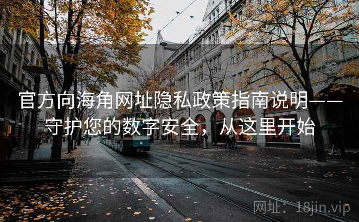 官方向海角网址隐私政策指南说明——守护您的数字安全，从这里开始
