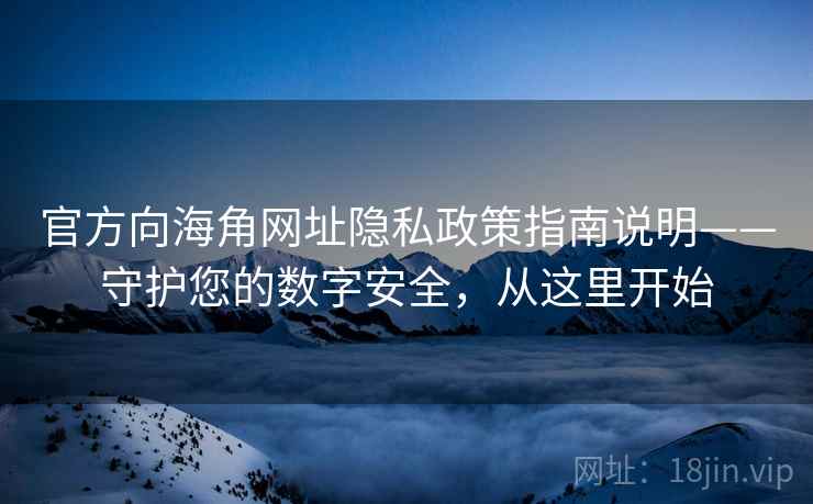 官方向海角网址隐私政策指南说明——守护您的数字安全，从这里开始
