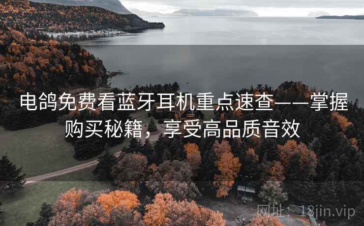 电鸽免费看蓝牙耳机重点速查——掌握购买秘籍，享受高品质音效