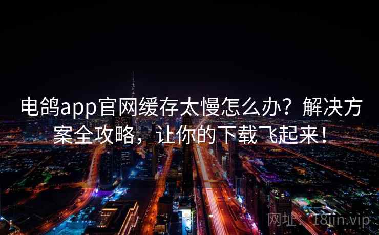 电鸽app官网缓存太慢怎么办？解决方案全攻略，让你的下载飞起来！