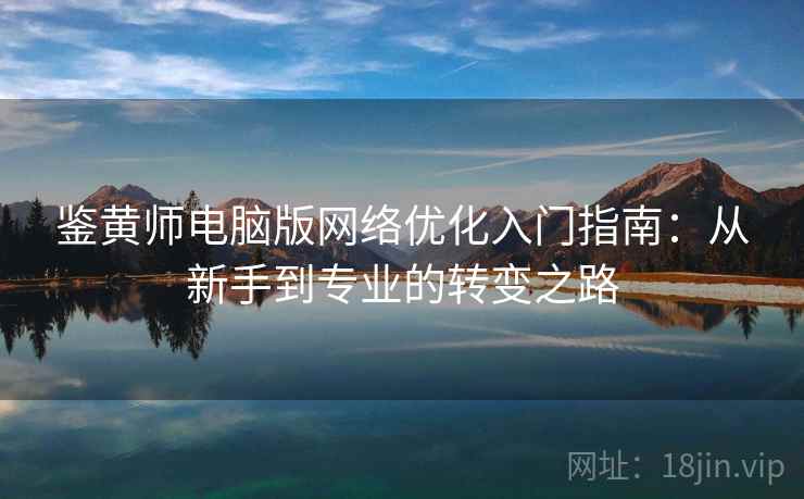 鉴黄师电脑版网络优化入门指南：从新手到专业的转变之路