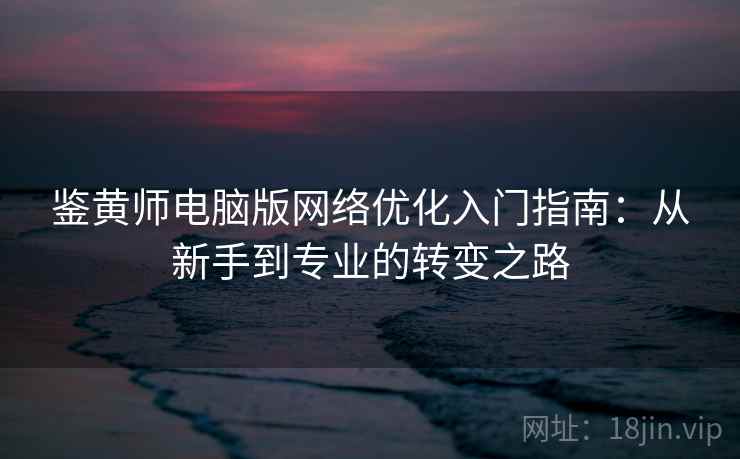 鉴黄师电脑版网络优化入门指南：从新手到专业的转变之路