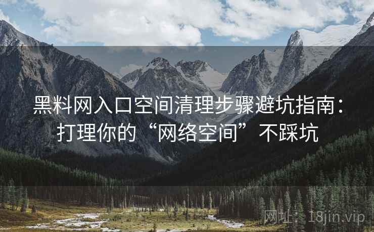 黑料网入口空间清理步骤避坑指南：打理你的“网络空间”不踩坑