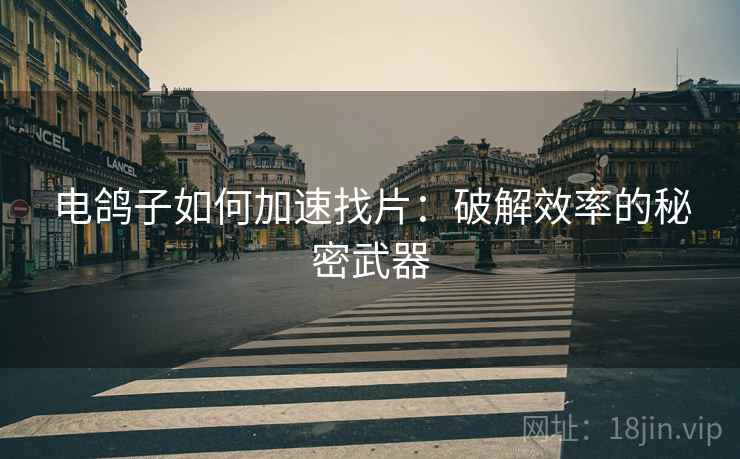 电鸽子如何加速找片：破解效率的秘密武器