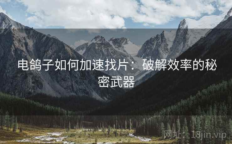 电鸽子如何加速找片：破解效率的秘密武器