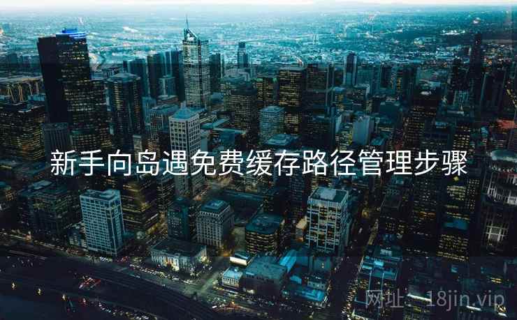 新手向岛遇免费缓存路径管理步骤