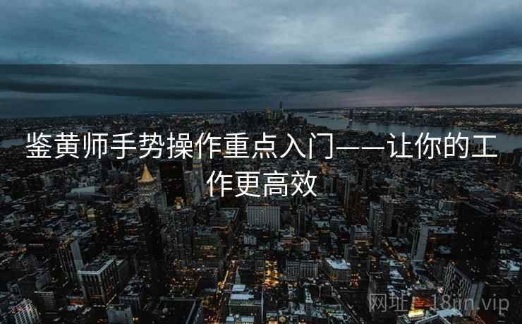 鉴黄师手势操作重点入门——让你的工作更高效