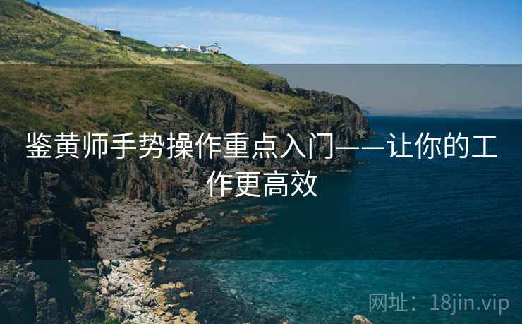 鉴黄师手势操作重点入门——让你的工作更高效