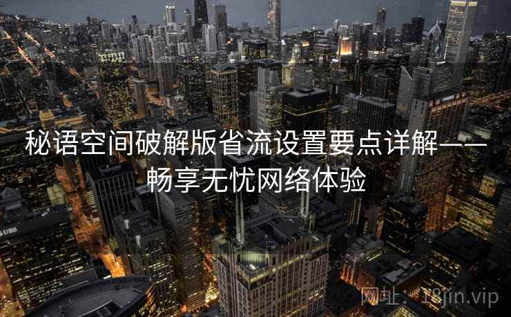 秘语空间破解版省流设置要点详解——畅享无忧网络体验