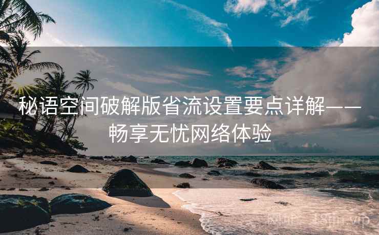 秘语空间破解版省流设置要点详解——畅享无忧网络体验