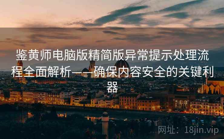 鉴黄师电脑版精简版异常提示处理流程全面解析——确保内容安全的关键利器