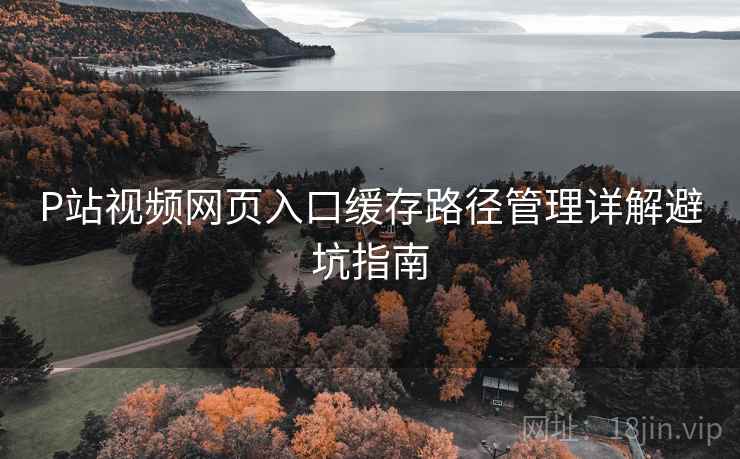 P站视频网页入口缓存路径管理详解避坑指南