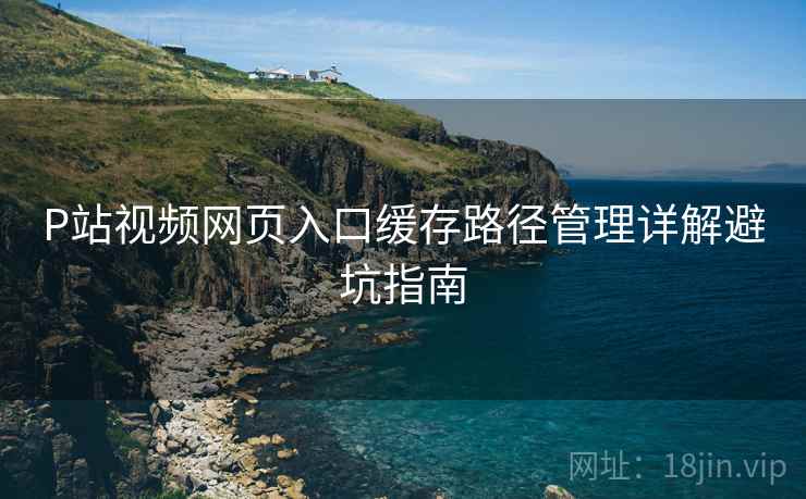 P站视频网页入口缓存路径管理详解避坑指南