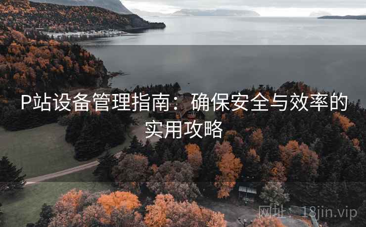 P站设备管理指南：确保安全与效率的实用攻略